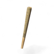 Preenrollado 1.4g Molécula