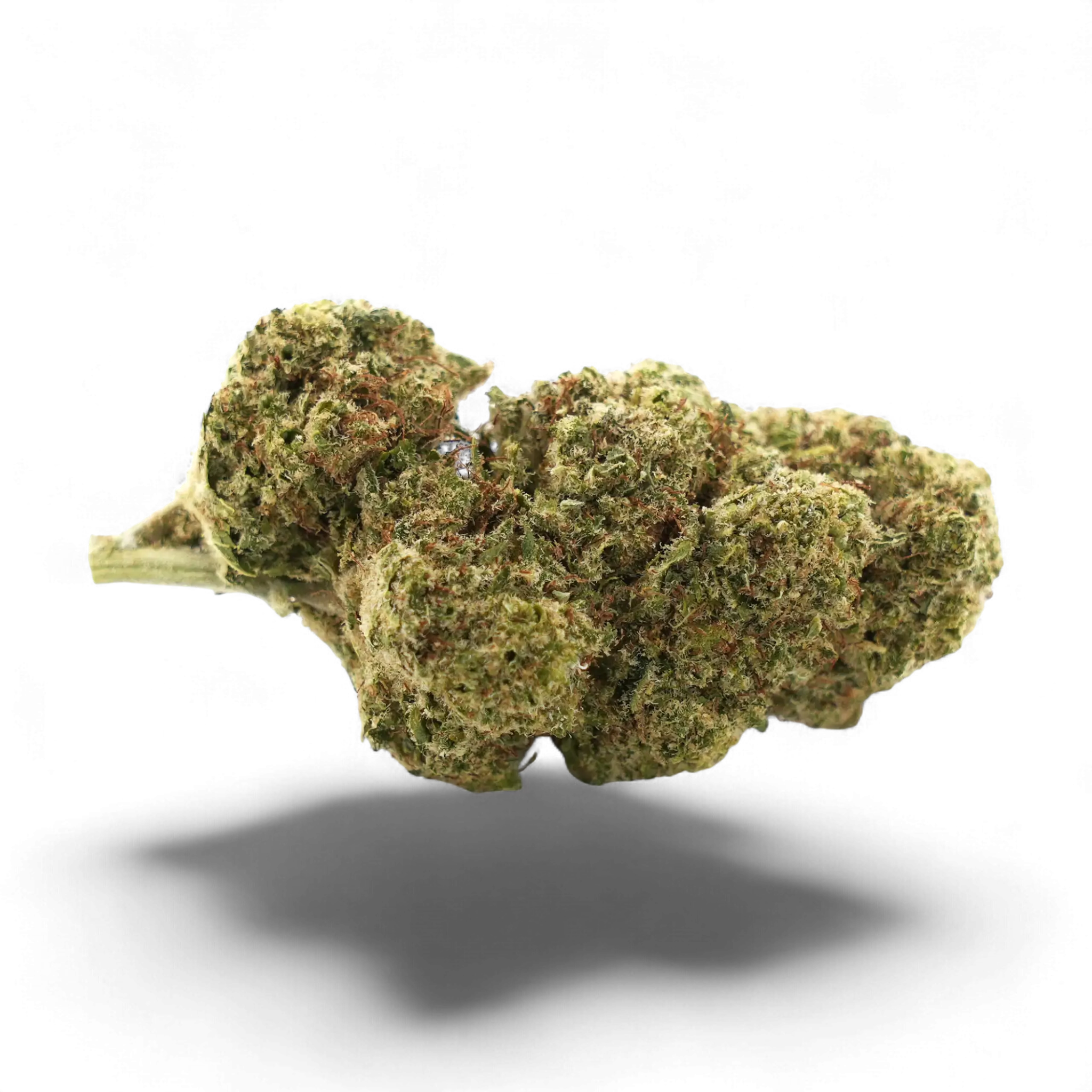 Orangello indoor 15%CBD