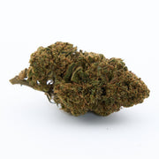 Terapia gh 12%CBD