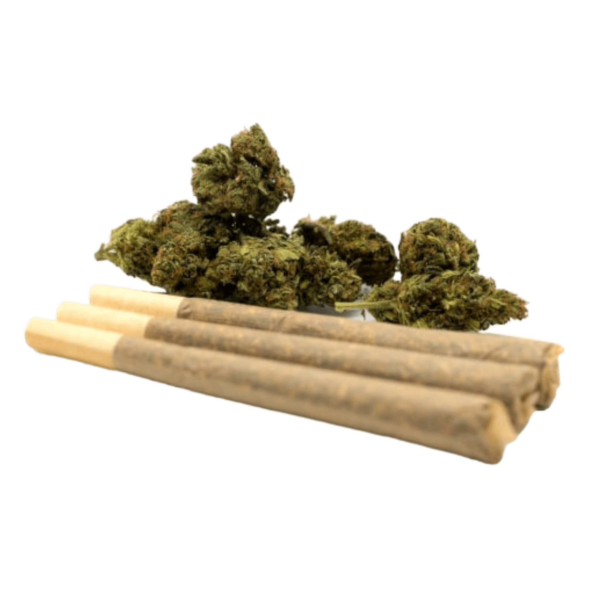 Préroulé 1.4g Indoor