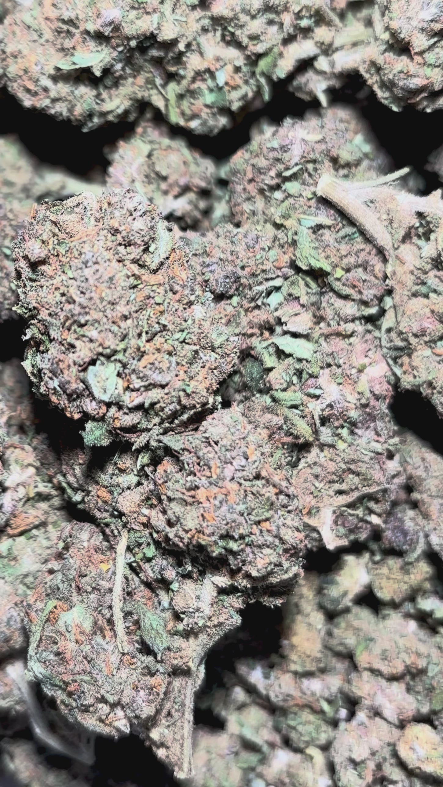 Cargar vídeo: Purple gh 11% CBD