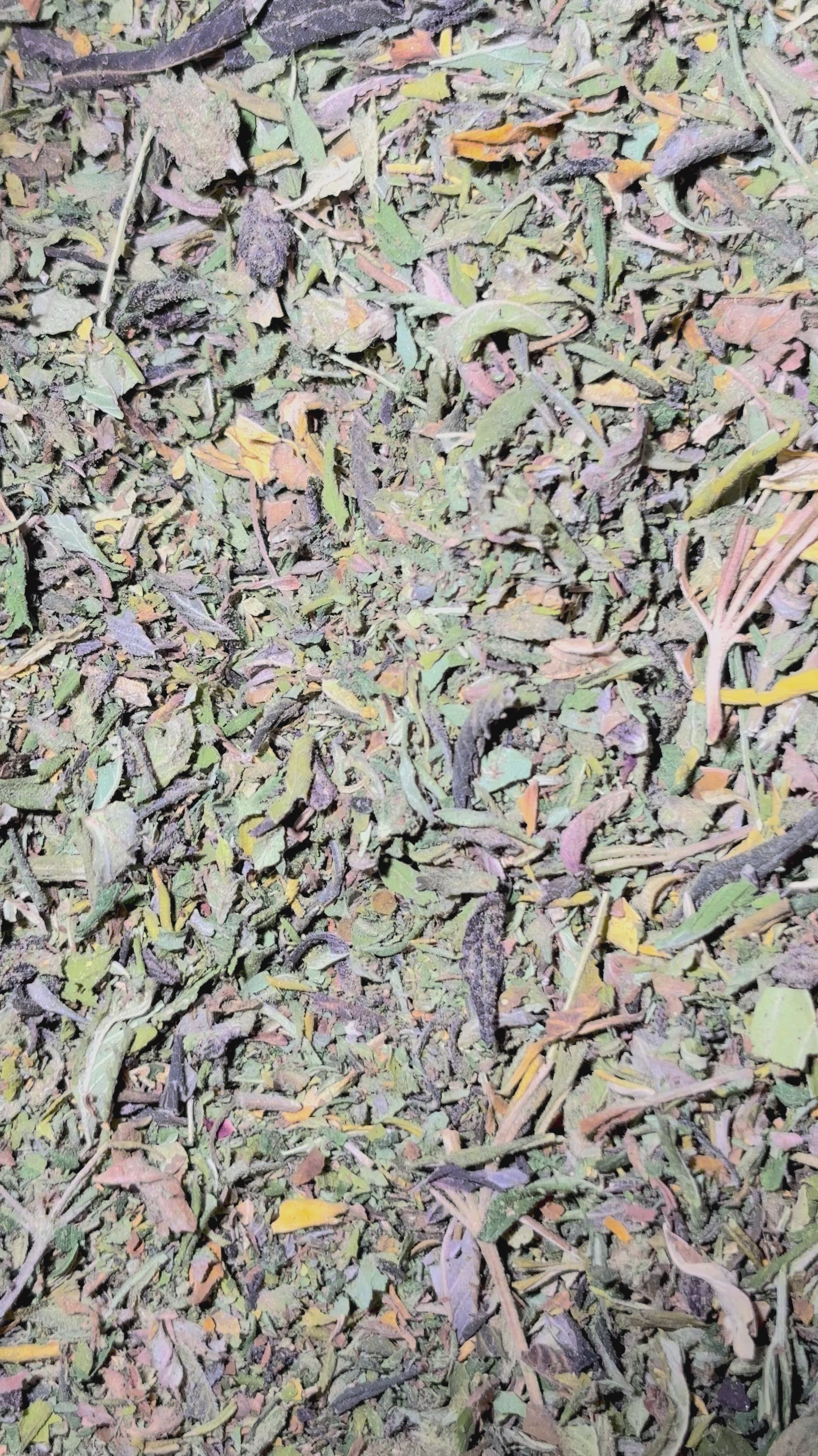 Cargar vídeo: Trim Indoor