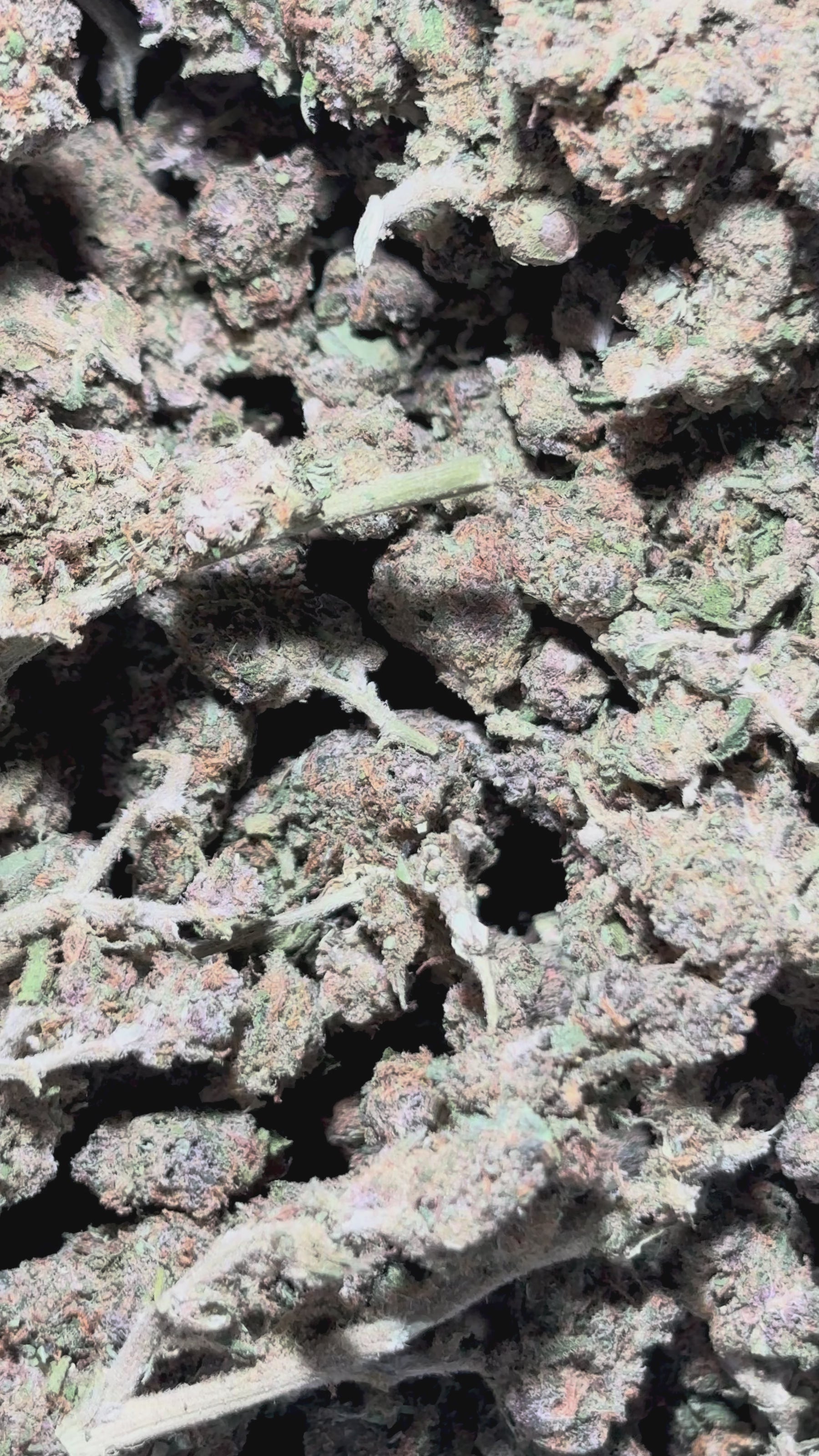 Cargar vídeo: Terapia gh 12%CBD