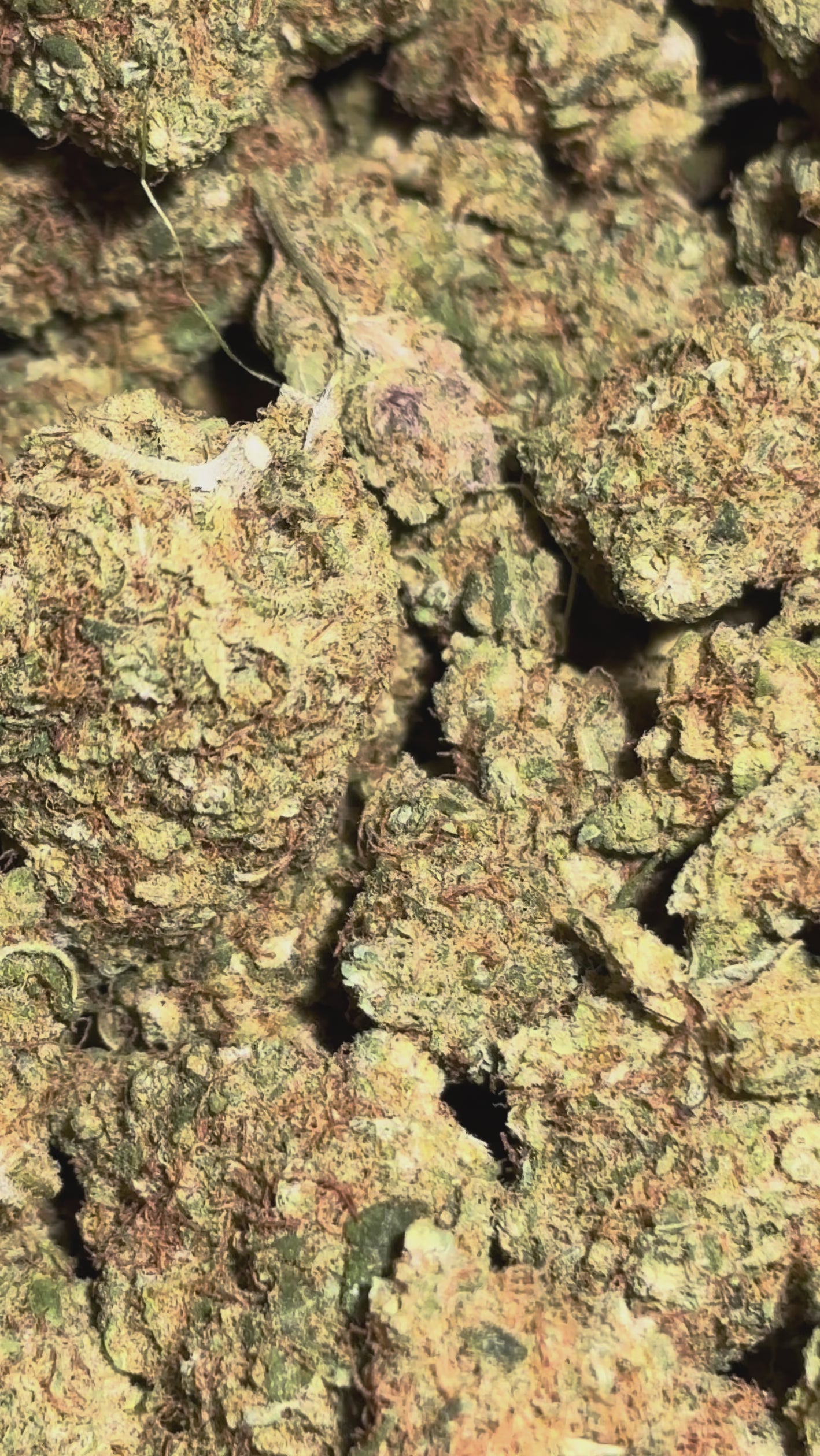 Cargar vídeo: Sour Diesel