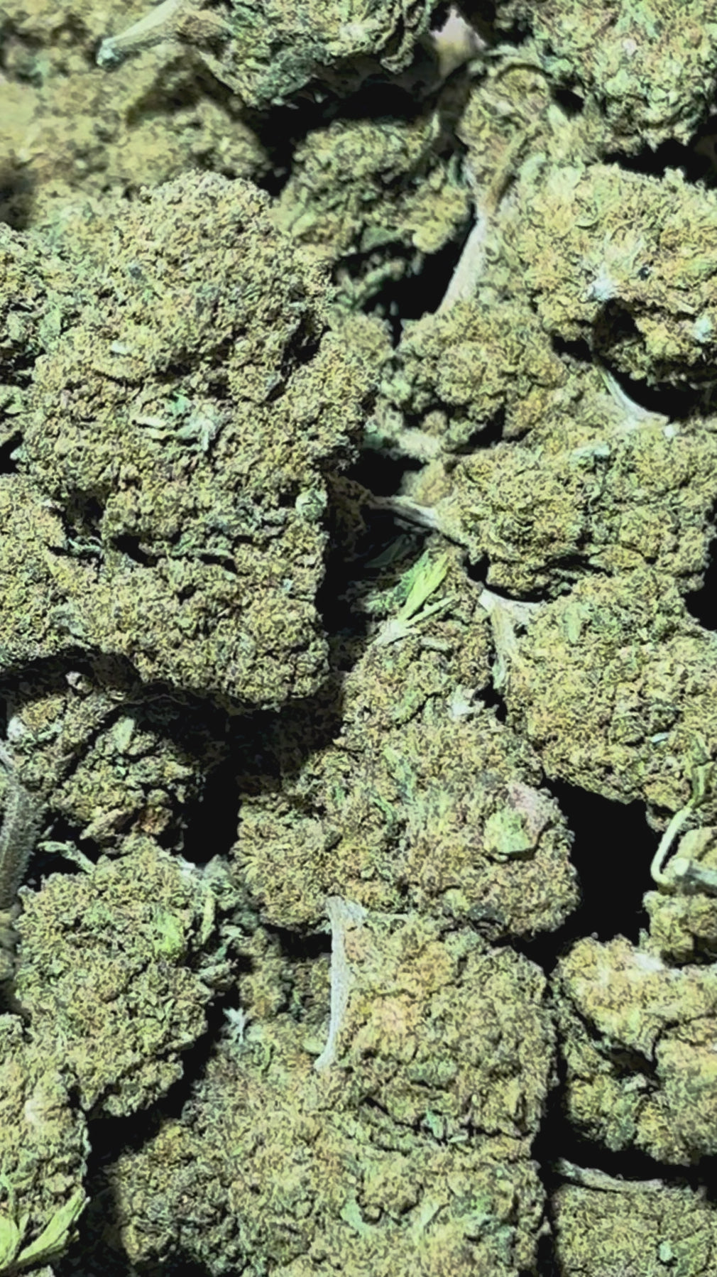 Cargar vídeo: Mango Tango 17% CBD